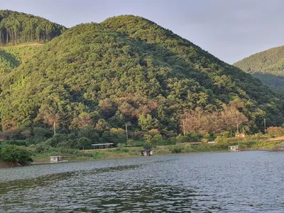 용곡 김기호낚시터 허리급 조황입니다