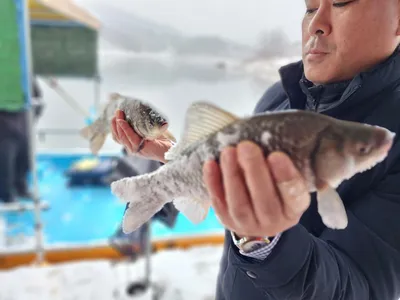 돌감낚시터 붕어조황입니다.