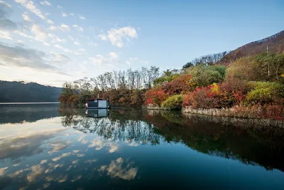 솔낚시터 조황 소식입니다!
