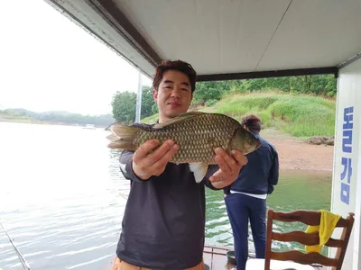 돌감낚시터 4짜