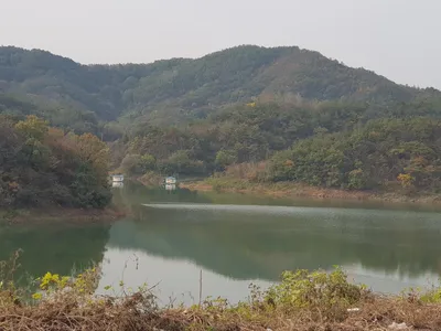 실리곡낚시터 허리급 조황입니다.