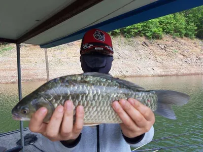 돌감낚시터 조황입니다.