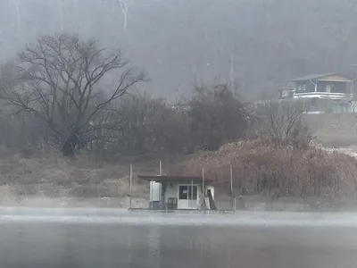 청풍 한버들 조황입니다