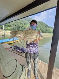 사오리낚시터 조황정보