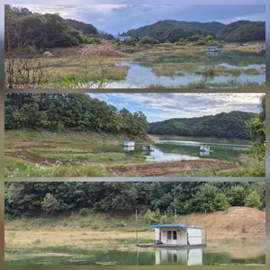 청풍신리낚시터 조황입니다