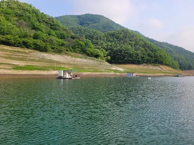 실리곡낚시터  4짜 조황입니다.
