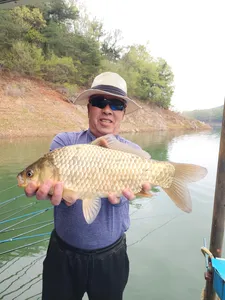 돌감낚시터 4짜 조황입니다.