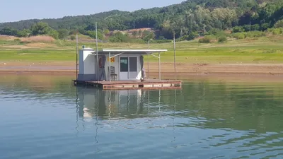 한버들 허릿급 조황입니다