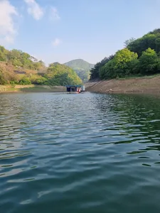 사오리 낚시터 조황정보