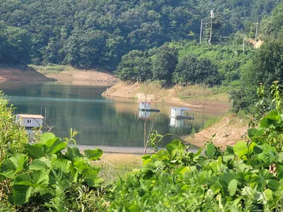청풍 실리곡낚시터  허리급 조황입니다.