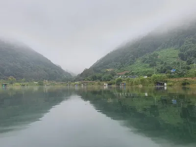 용곡 김기호 낚시터 허리급 조황입니다