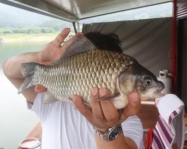 솔낚시터 조황입니다