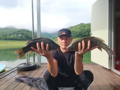 돌감낚시터 붕어조황입니다.