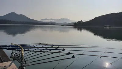 용곡 김기호낚시터 허리급 조황입니다