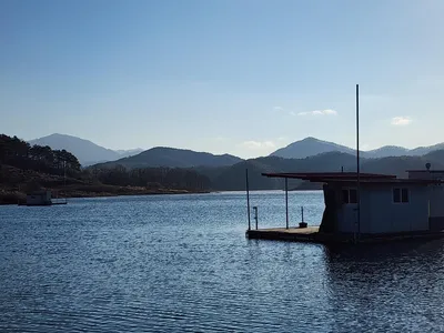 청풍 한버들 조황입니다