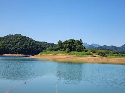 청풍 한버들 조황입니다