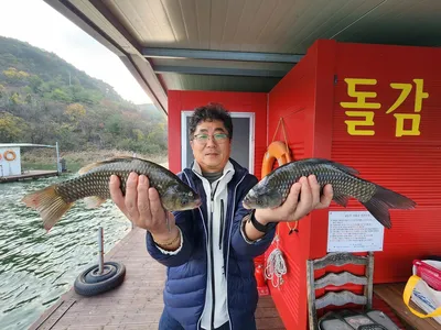 돌감낚시터 붕어조황입니다.