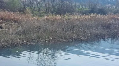 솔낚시터 주말 조황 소식입니다