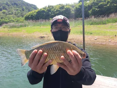 돌감낚시터 조황입니다.