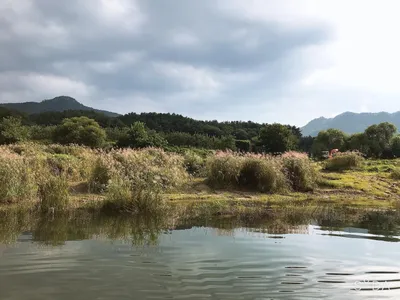 솔낚시터 주말 허리급 조황소식입니다!