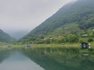 용곡 김기호 낚시터 조황정보 입니다