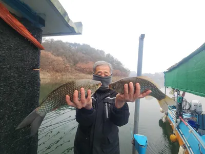 돌감낚시터 붕어조황입니다.