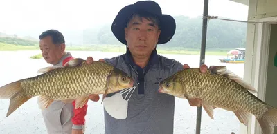 충주호 짱가네낚시터 