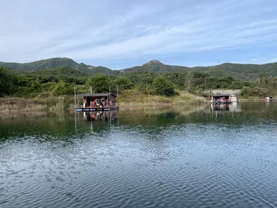 솔낚시터 사짜 조황소식 입니다.