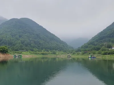 용곡 김기호 낚시터 조황정보 입니다
