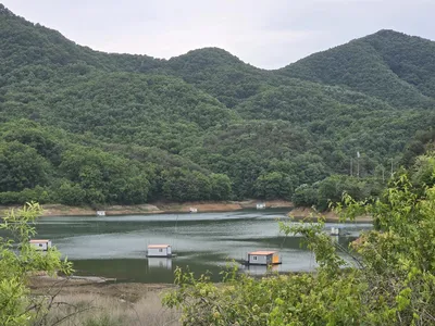 청풍실리곡낚시터  조황입니다.