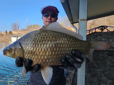 돌감낚시터 4짜 조황입니다.