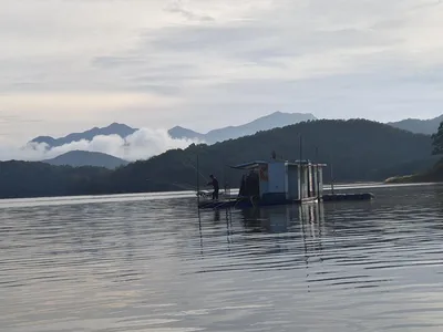 용곡 김기호 낚시터 조황정보 입니다