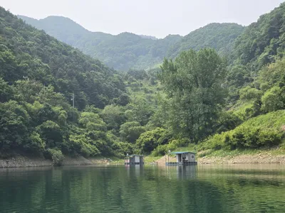 충주호목벌 주말조황