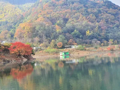용곡 김기호 낚시터 조황정보 입니다