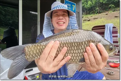 늘푸른 오늘 조황입니다