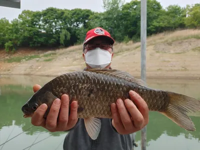 돌감낚시터 4짜 조황(42.1cm) 및 최대어 이벤트 안내