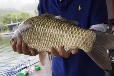 솔낚시터 조황소식 입니다