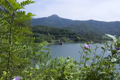 충주호 멋진 사짜 혹뿌리여라~