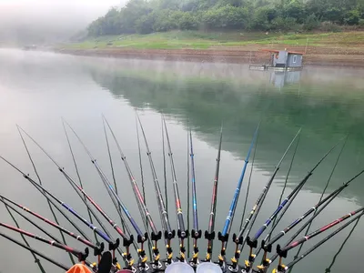 청풍실리곡낚시터 4짜 조황입니다.