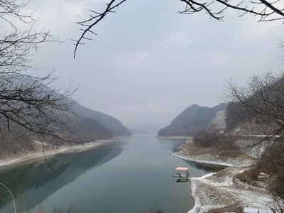 실리곡낚시터 허리급  조황입니다.