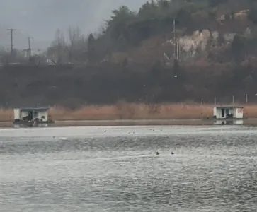 실리곡낚시터 4짜.허리급 조황입니다.