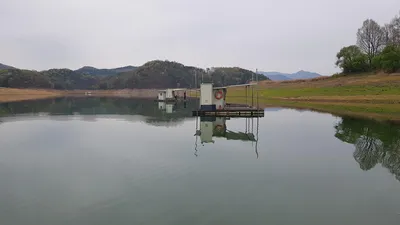 청풍 한버들 낚시터 4짜포함 허릿급 조황입니다