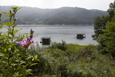 솔낚시터 오름수위 사짜 및 마릿 수 조황 소식입니다.