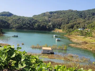 청풍 실리곡낚시터  조황입니다.