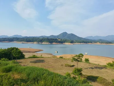 용곡 김기호낚시터 사짜 조황 입니다