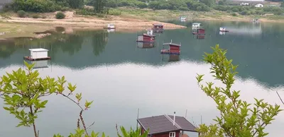 솔낚시터 4짜 조황정보입니다.!