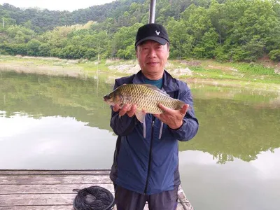 충주호짱가네낚시터