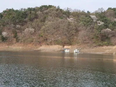 실리곡낚시터 조황입니다.