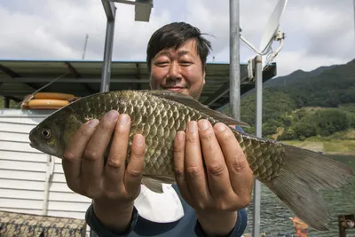 목벌주말조황입니다.