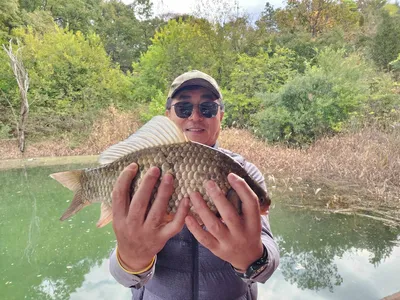 돌감낚시터 붕어4짜 조황입니다.